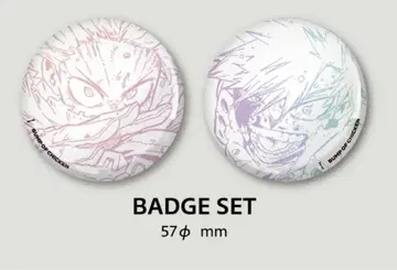 BUMP OF CHICKEN 히로아카 혜택 캔뱃지 한정판