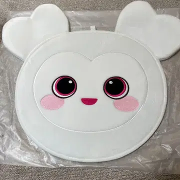 TWICE 다현 부채 케이스 더블리