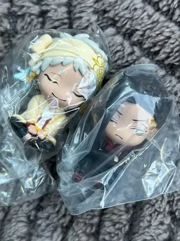 어깨 쿵 스칼라비아 세트