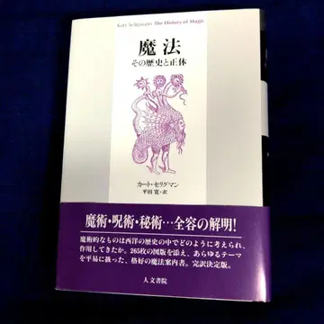 마법 그 역사와 정체 카트 셀리그먼 단행본