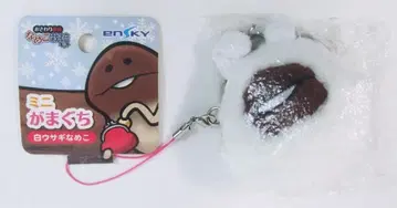 만지면 알 수 있는 탐정 버섯 재배 키트 화이트 토끼 버섯 미니 복주머니