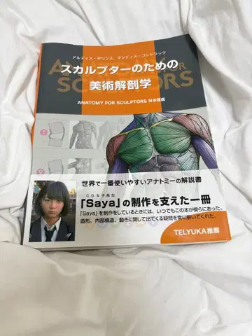 스컬프터를 위한 미술 해부학