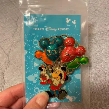 디즈니 30주년 크리스마스