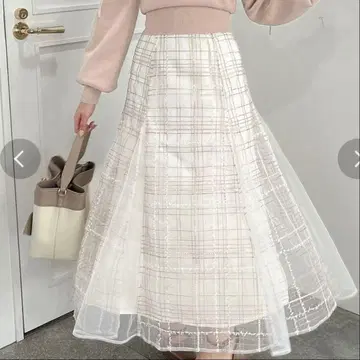 dazzlin 자수 트위드 라이크 시어 스커트