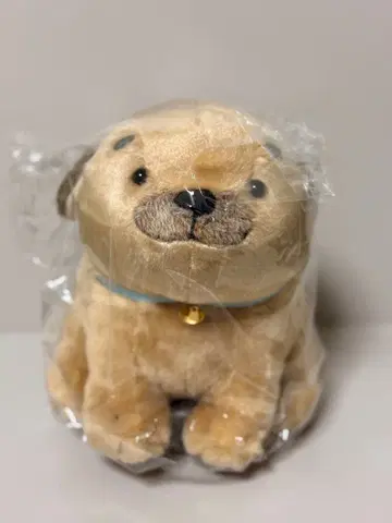 코로완 코로완 그림책 봉제 인형 산애로우 강아지 개 이누