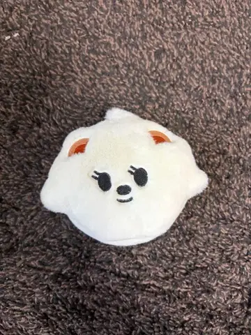 범규 코인 케이스 범규