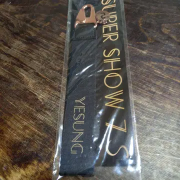 YESUNG SUPER SHOW 7 키링