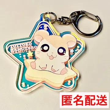 [ 꼬마햄토리 ] 오로라 아크릴 키링(햄토리)