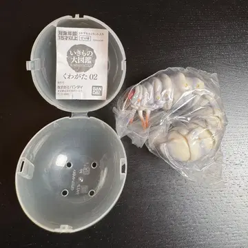 생물대도감 사슴벌레 02 유충 레어