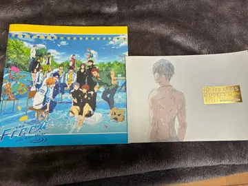 free 특별판 책자 소책자