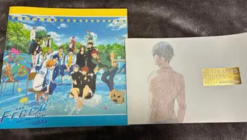 Free 특별판 책자 소책자