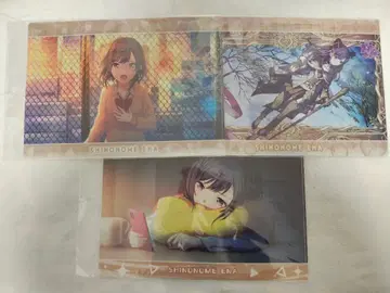 프로세카 프로젝트 세카이 클리어 파일 시노노메 에나 묶음 판매