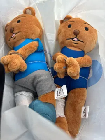 개그 만화 비요리 쿠마키치 군 체포되다 미니백 2종 세트