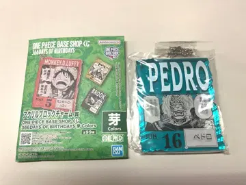 페드로 아크릴 블록 참