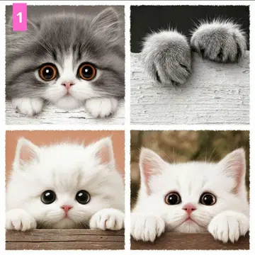 플랫 파우치 오더 접수 페이지