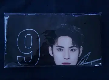 SEVENTEEN HOME 미니 사진 담요 민규