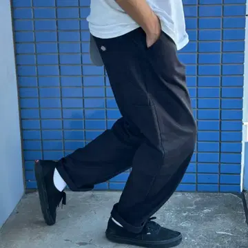 PAINTER EASY PANTS 디키즈 페인터 이지 팬츠