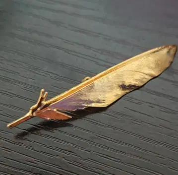 골드 컬러 깃털 브로치