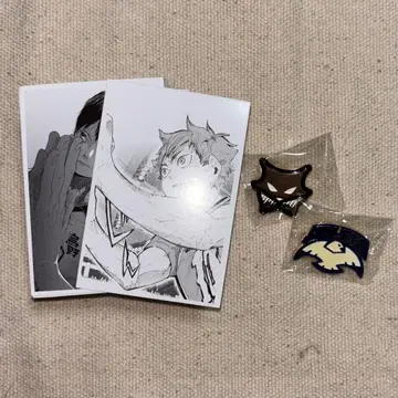 하이큐 10th 크로니클 포토 카드 핀즈