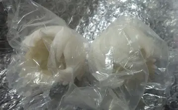 일만 번의 탈출 계획 색이 다른 강아지 블랭크 헤어스타일 2개 세트