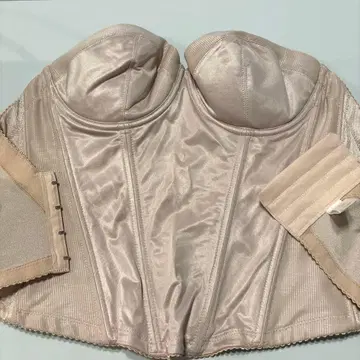 베이지 뷔스티에