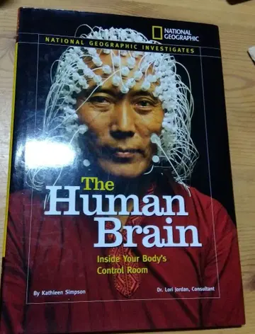 The Human Brain - National Geographic