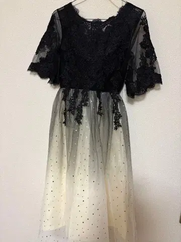 레이스와 튤의 드레스