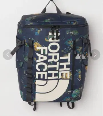THE NORTH FACE 백팩