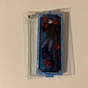 에이리언 스테이지 에이스테 아크링 키링 Drowing Bloom 이반