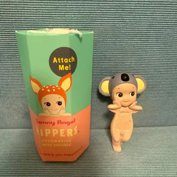 HIPPERS 코알라