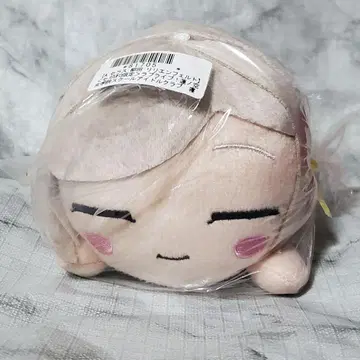 세라스 야나기타 릴리엔펠트 넨소베리 봉제 인형 세가 ufo 한정판