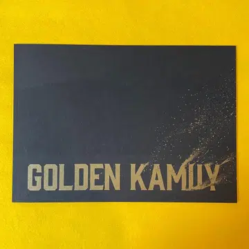 극장판 골든 카무이 GOLDEN KAMUY 팜플렛 실사판