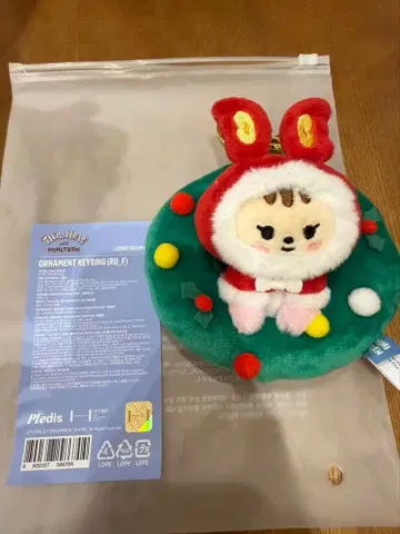 SEVENTEEN MINITEEN POPUP 오너먼트 정한