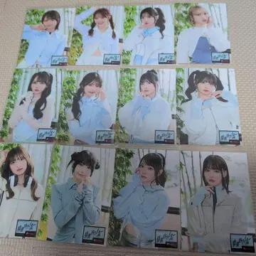 배타적 파이터 HMV 브로마이드 12장 세트