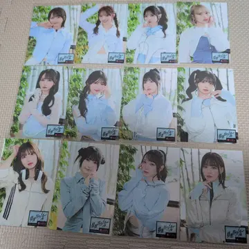 배타적 파이터 HMV 특전 브로마이드 12장 세트