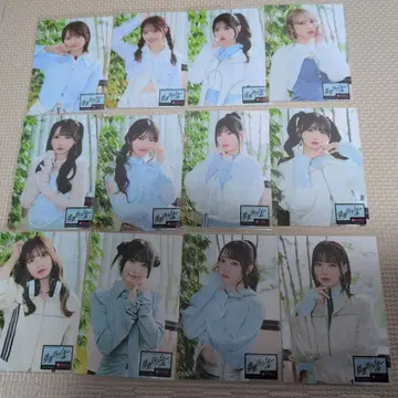 배타적 파이터 HMV 특전 브로마이드 12장 세트