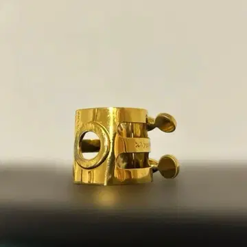 알토 색소폰 리가처 WoodStone 우드스톤 GP