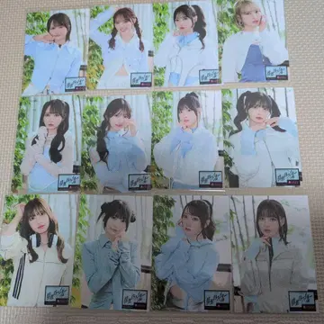 배타적 파이터 HMV 특전 브로마이드 12장 세트