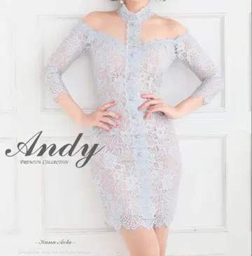 [ 새상품급 ] Andy 오프숄더 레이스 드레스 S