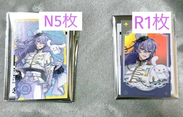 호시미치 쇼 산리오 콜라보 니지산지 폴라로이드