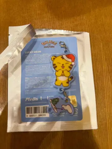 SEVENTEEN MINITEEN POPUP 랜덤 키링 호시