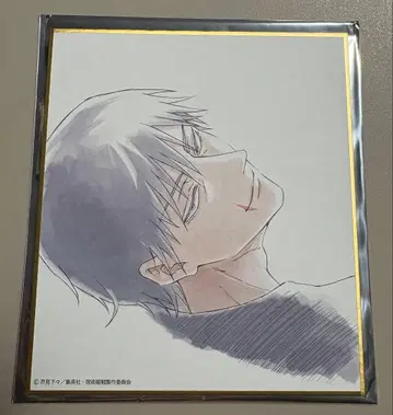 주술회전전 주술회전 시부야 사변 회옥 옥절 색지 후시구로 토우지