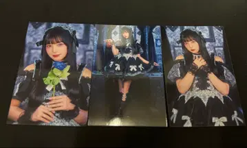 Pixel Ribbon 하야마 물방울 할로윈 브로마이드