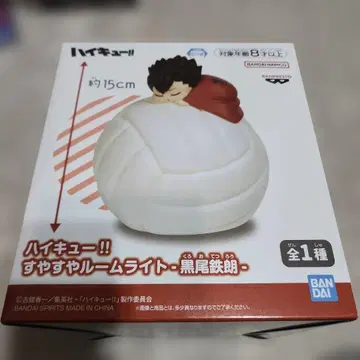 하이큐!! 스야스야 룸 라이트 약 15cm