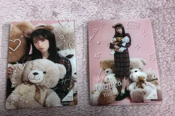 노기자카46 노기BOX 테디 드림 타운 야타 모에카 모바카