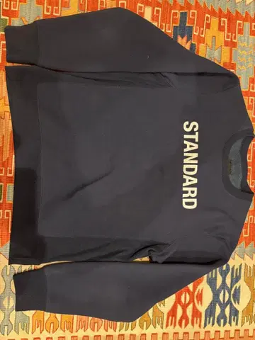 THE NORTH FACE STANDARD 맨투맨 M 네이비