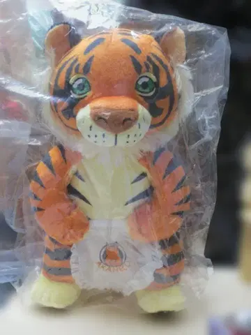 새상품 라멘 빨간 고양이 밤 슈나 봉제 인형 25cm