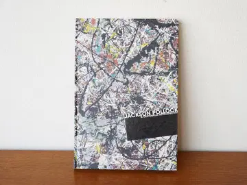 탄생 100주년 잭슨 폴록전 도록 국립근대미술관 2011년 작품집