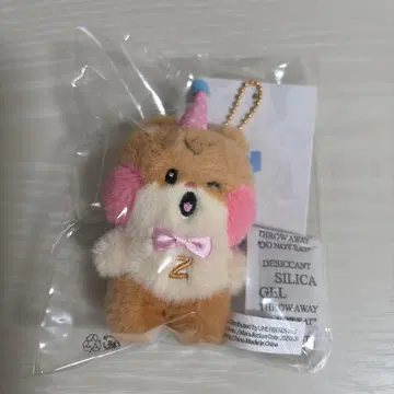 제베원 zeroni 성한빈 비니니 home party