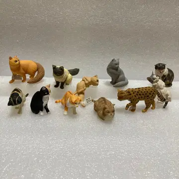 나르고 컬렉션 2003년 2004년 2005년 고양이 초기